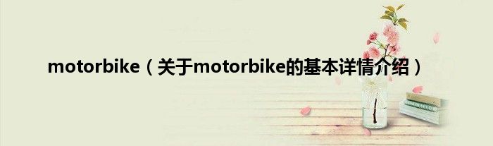 motorbike（关于motorbike的基本详情介绍）