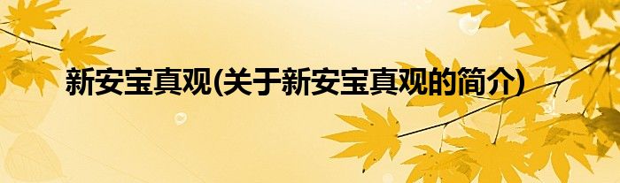 新安宝真观(关于新安宝真观的简介)