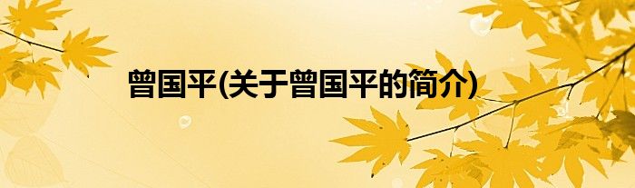 曾国平(关于曾国平的简介)