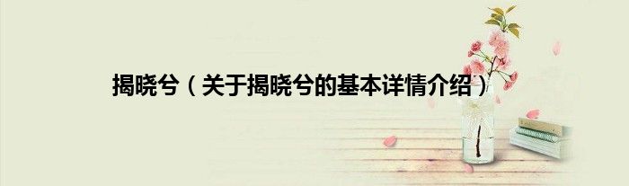 揭晓兮（关于揭晓兮的基本详情介绍）