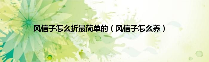 风信子怎么折最简单的（风信子怎么养）
