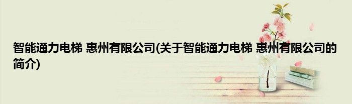 智能通力电梯 惠州有限公司(关于智能通力电梯 惠州有限公司的简介)