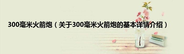 300毫米火箭炮（关于300毫米火箭炮的基本详情介绍）