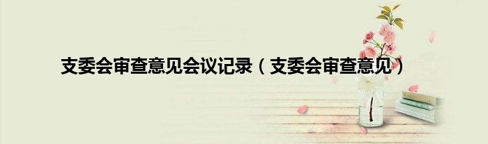 支委会审查意见会议记录（支委会审查意见）