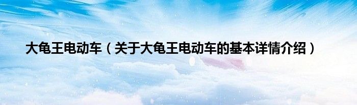 大龟王电动车(关于大龟王电动车的基本详情介绍)