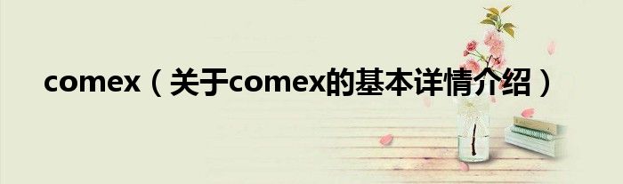 comex（关于comex的基本详情介绍）