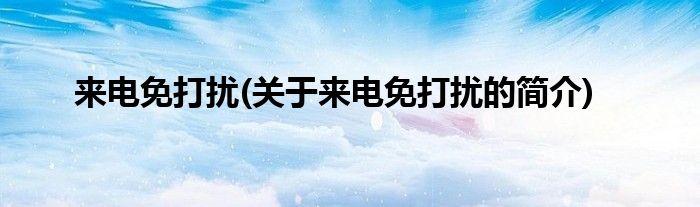 来电免打扰(关于来电免打扰的简介)