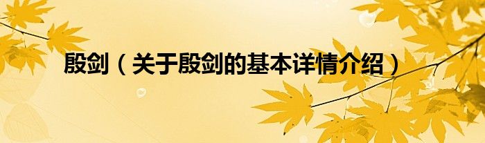 殷剑（关于殷剑的基本详情介绍）